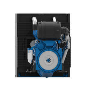 Baudouin PowerKit Diesel 6M21 001