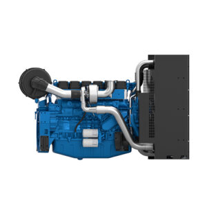 Baudouin PowerKit Diesel 6M21 002