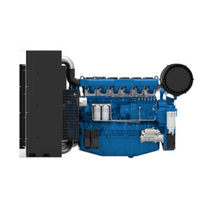 Baudouin PowerKit Diesel 6M21 003
