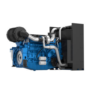 Baudouin PowerKit Diesel 6M21 005